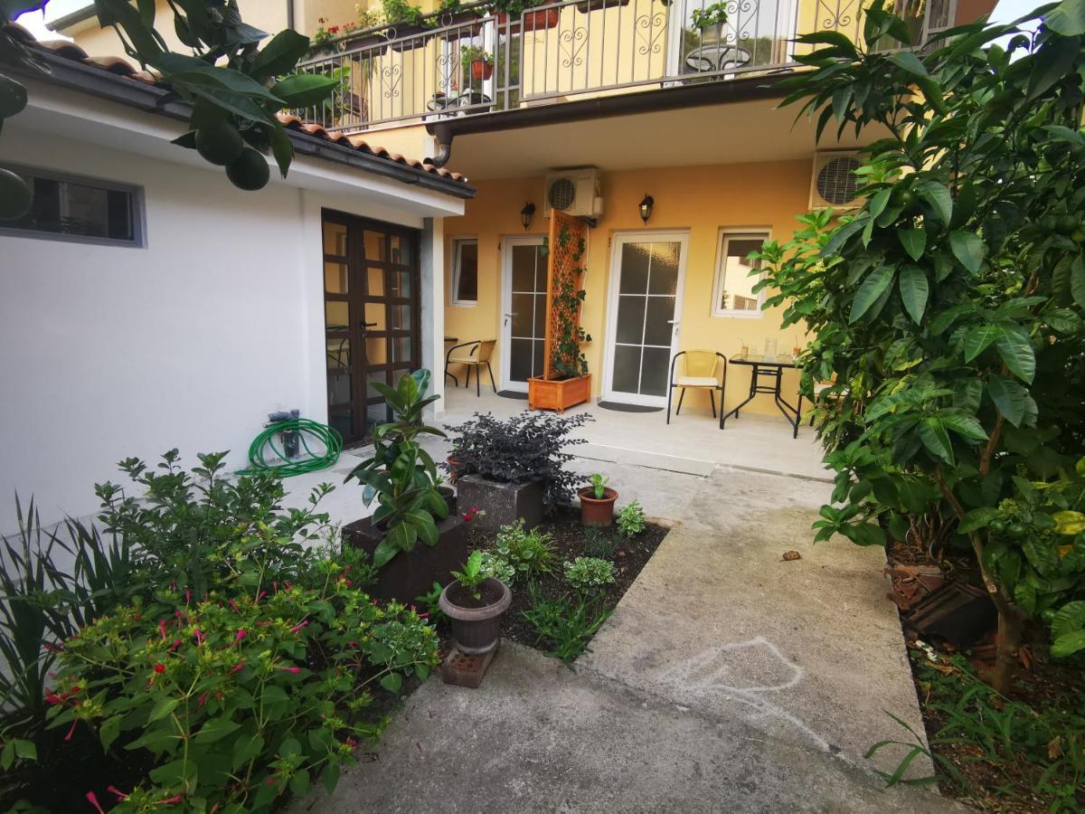 Radovic Apartments Budva Exteriér fotografie